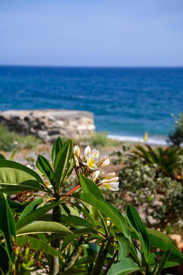 Marina Apartments Léntas エクステリア 写真
